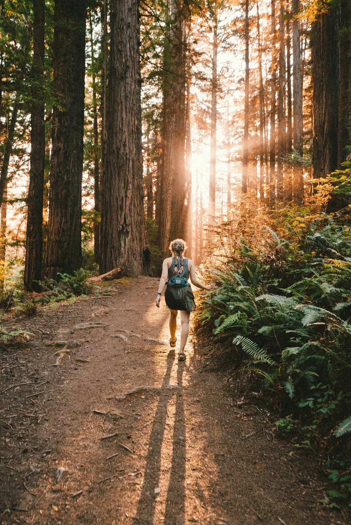 Adolescente en marche dans la forêt – Métaphore du choix d’orientation et de la construction de son propre chemin de vie